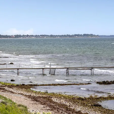 Pet Friendly In With Wifi *